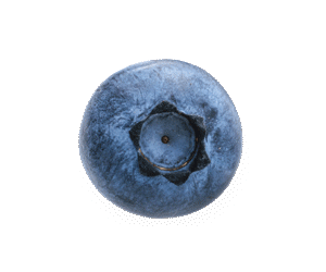 389_Brand_OBF_Blueberry-Squish_250x300 (2)
